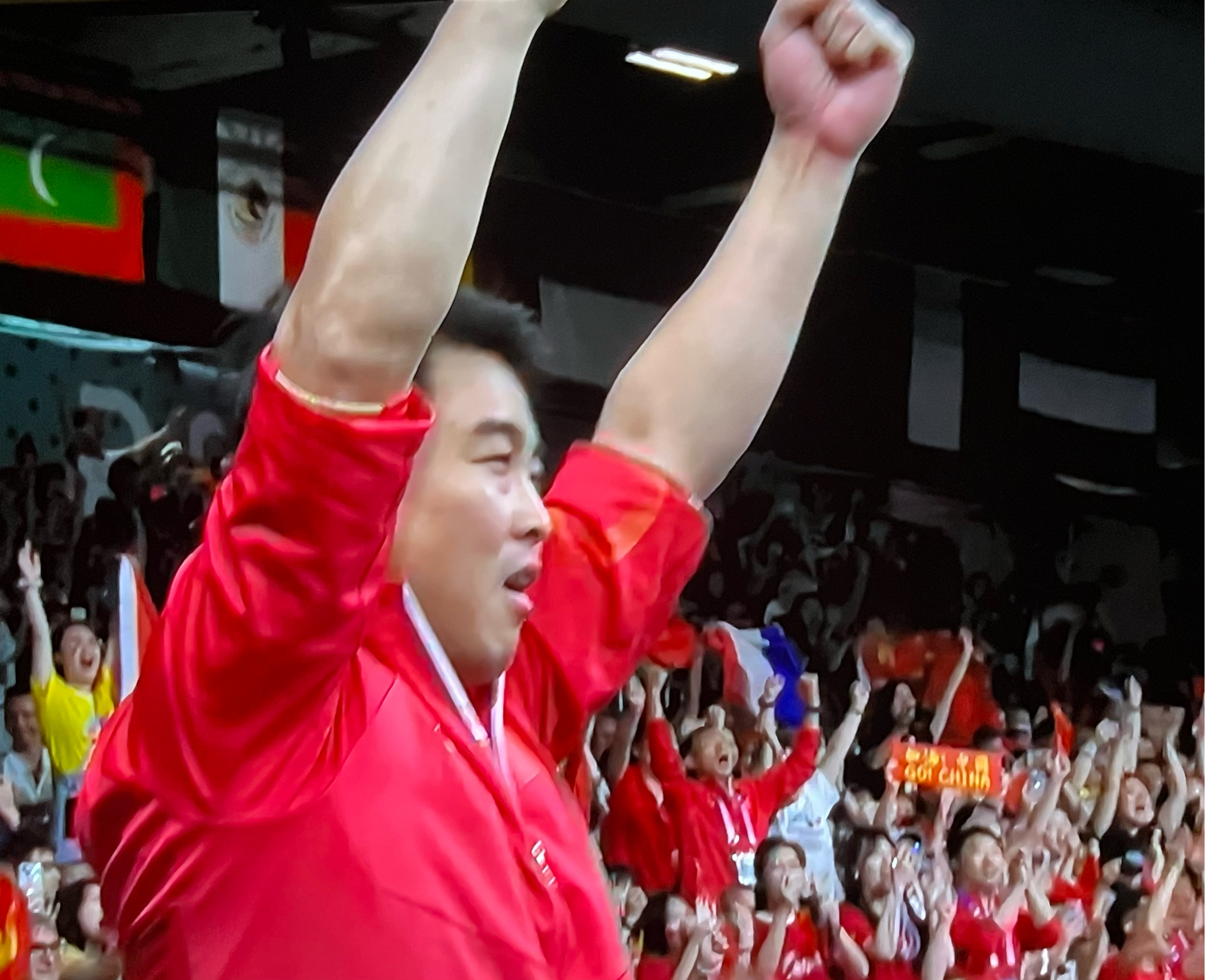 日本乒乓球队血洗瑞典乒乓球队,王皓惊艳世界 日本乒乓球队血洗瑞典乒乓球队,王皓惊艳世界