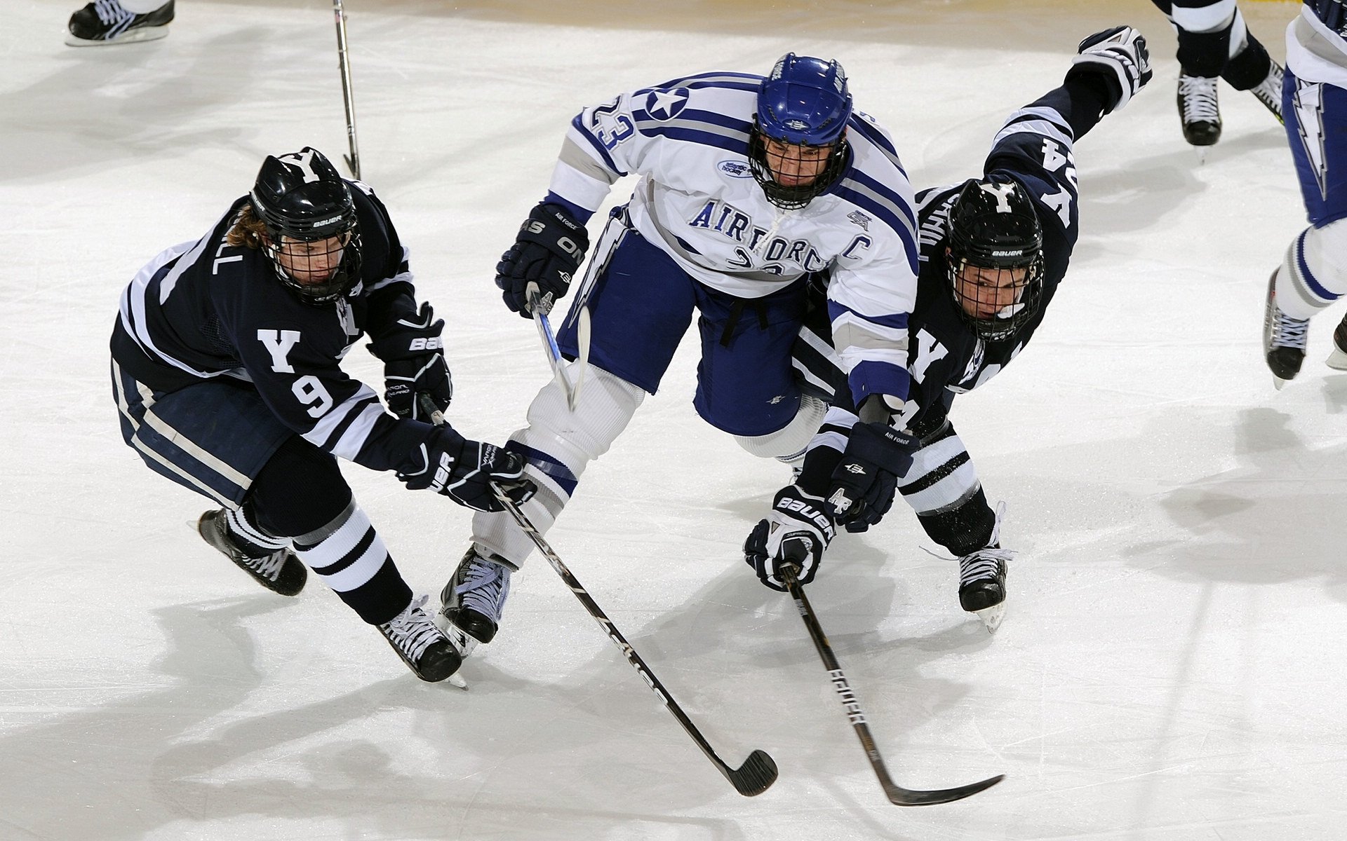年度焦点之战,福克斯接管比赛,国王奇才全面压制爵士